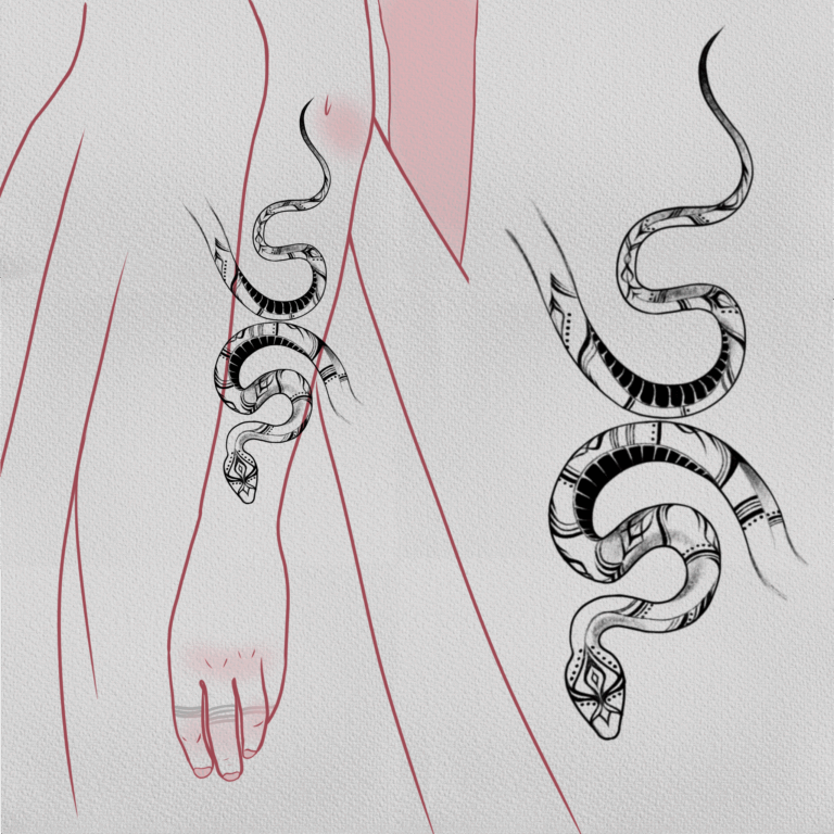 Ornamental snake black and grey, sketch style, fine line, fine art, animal tattoo on forearm